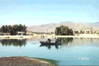 wpe1.jpg (9659 bytes)